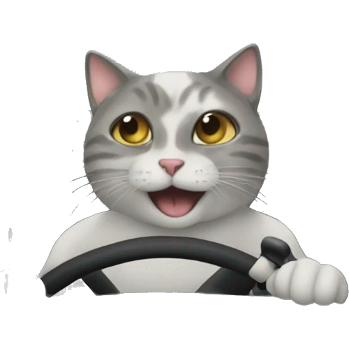 Cat driving car emoji