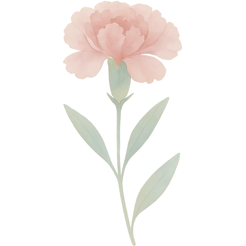 carnation with stem and leaves, luminous colors, gentle blending, realistic botanical illustration emoji