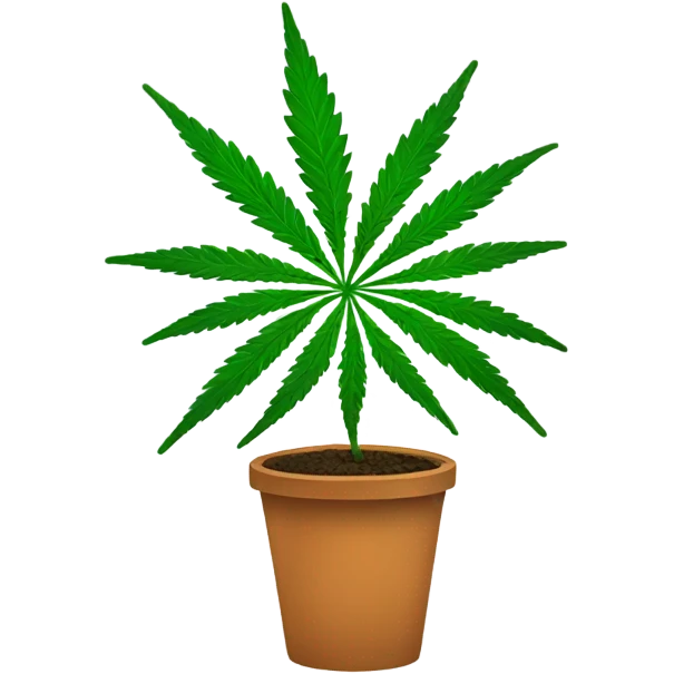 Cannabis plant  emoji
