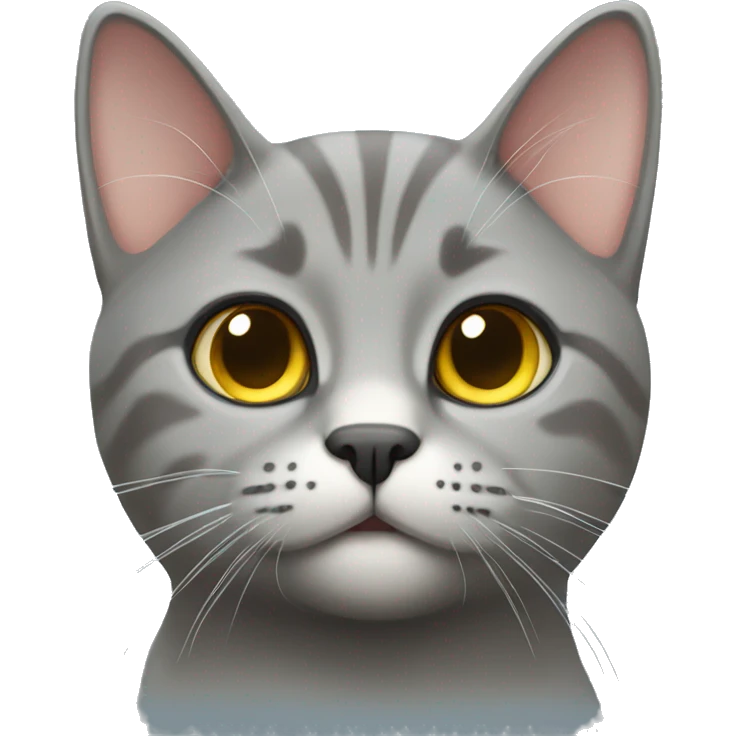  gray British shortair cat emoji