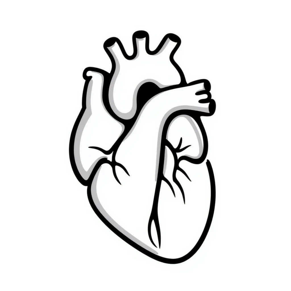 A heart drawn with hand-drawn lines, anatomical heart with chambers and arteries, medical diagram style with detailed internal structure emoji