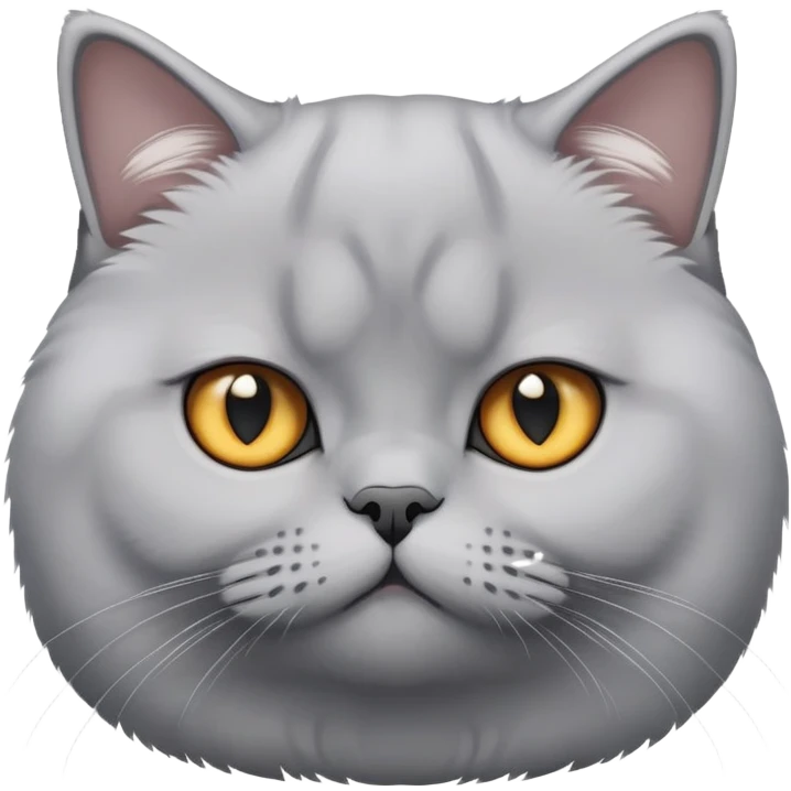 Silver british shorthair cat emoji