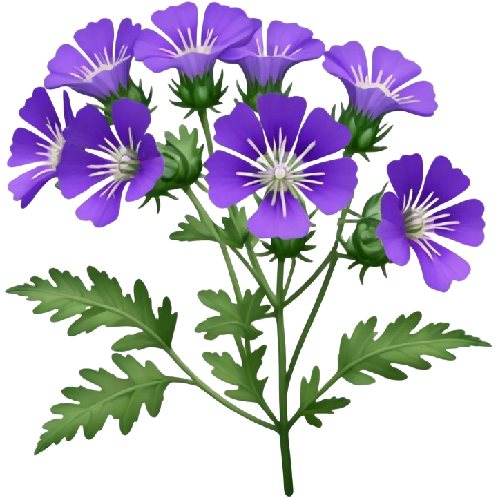 phacilia Tenecetifolia emoji