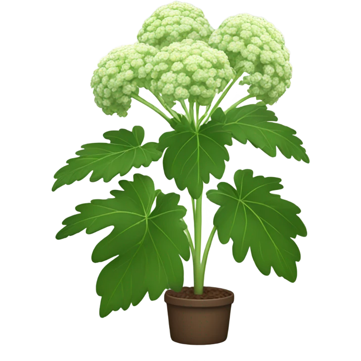Angelica plant  emoji