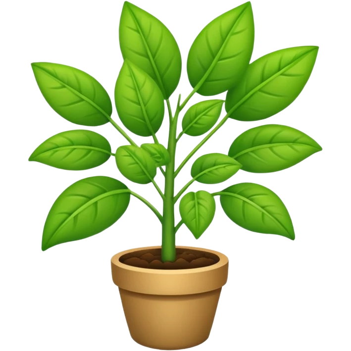 🌱 emoji