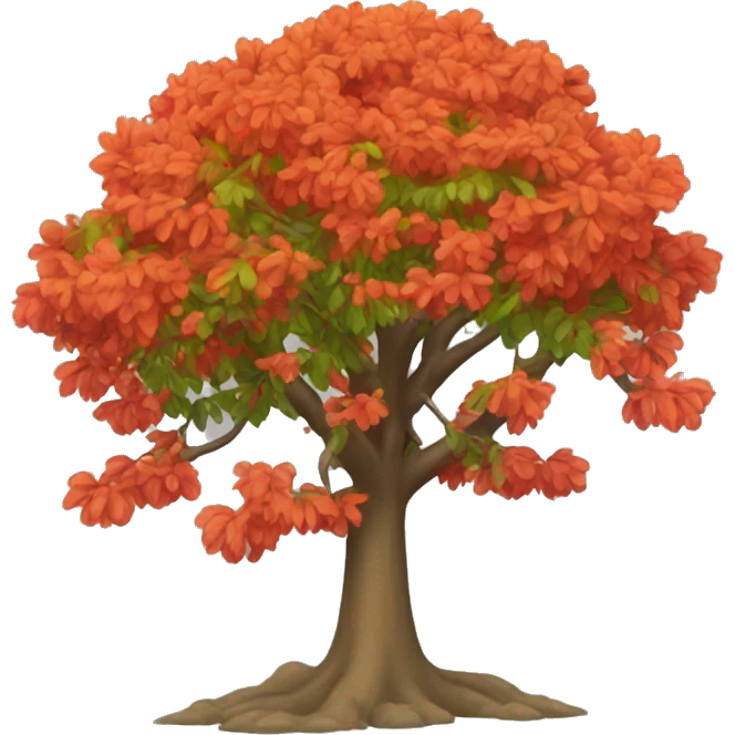 flamboyan tree emoji