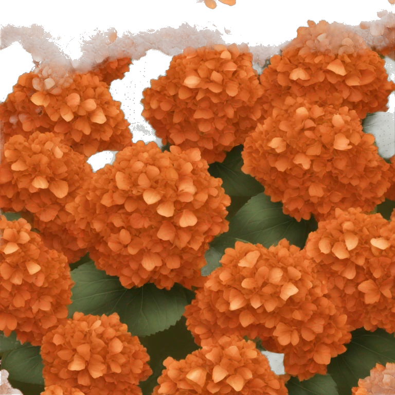 Burnt orange hydrangeas  emoji