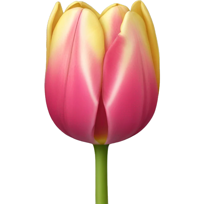 Cute tulip  emoji