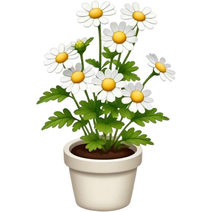 Feverfew emoji