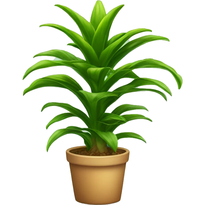 dracaena houseplant emoji