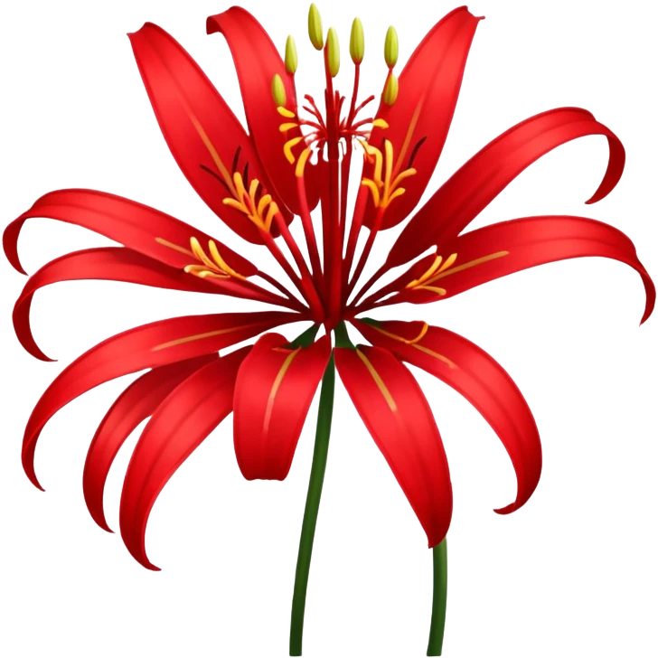 Red spider Lily flower emoji