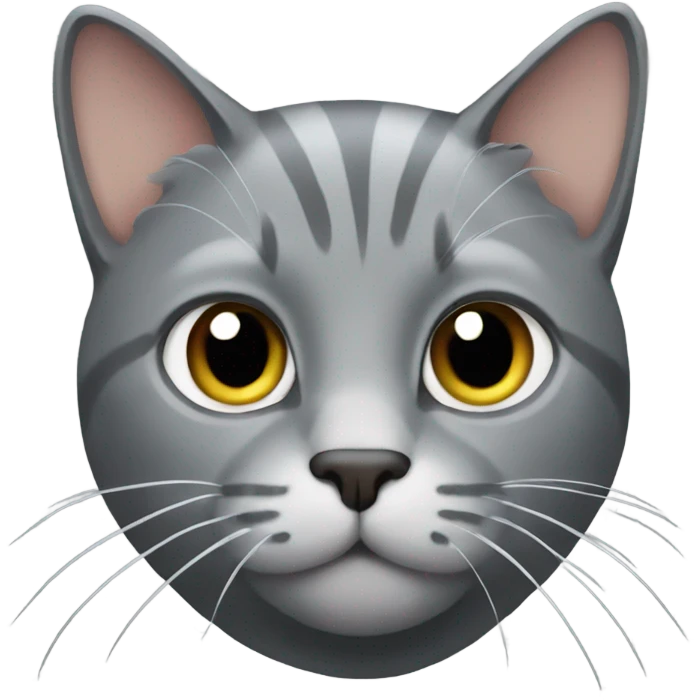 Grey cat buff emoji