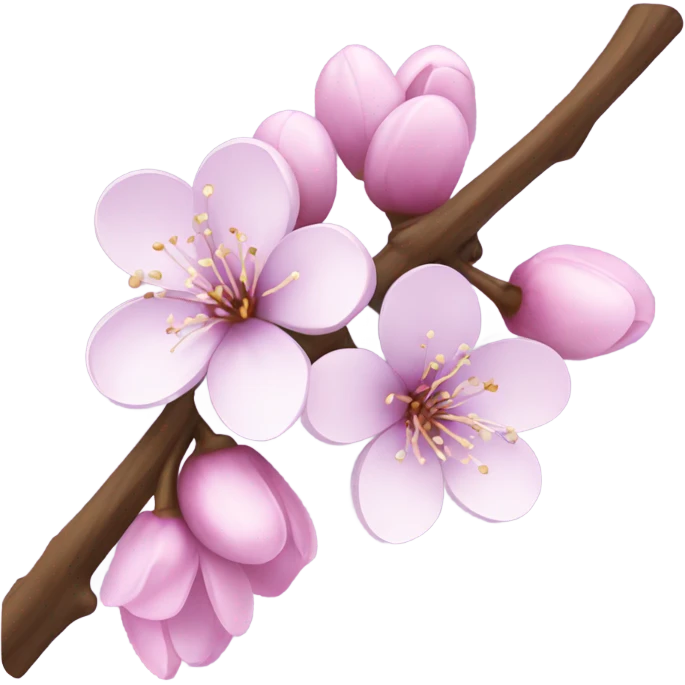 Cherry blossom in light purple  emoji