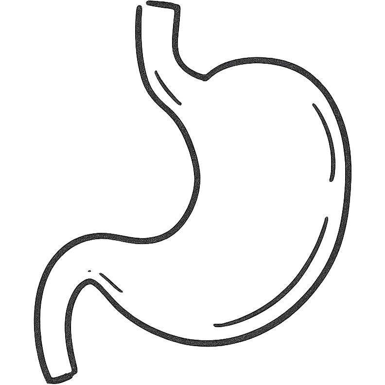 hand-drawn outlined stomach emoji