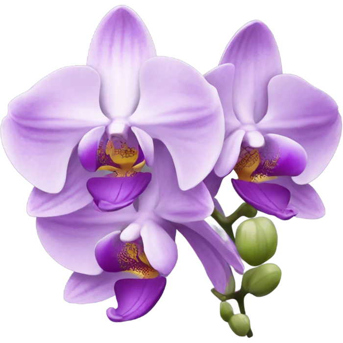 light purple orchids  emoji