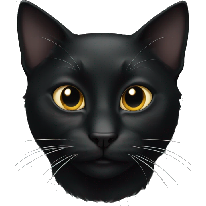 black cat with a white spot emoji