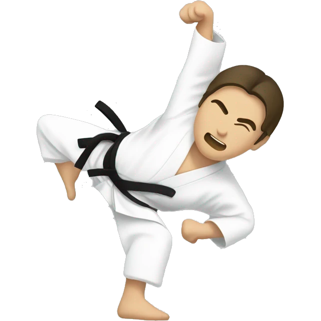 aikido technique emoji