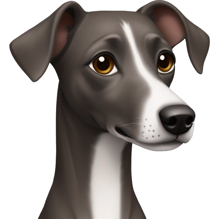 Dark Grey brown with no other color Formosa mountain dog and Italian greyhound mix no white on the face, dark brown eyes, ears up emoji