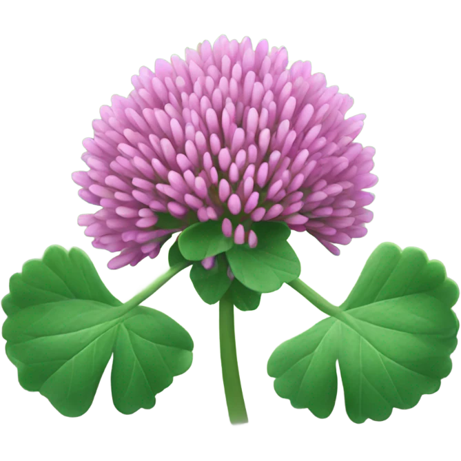 Red Clover emoji