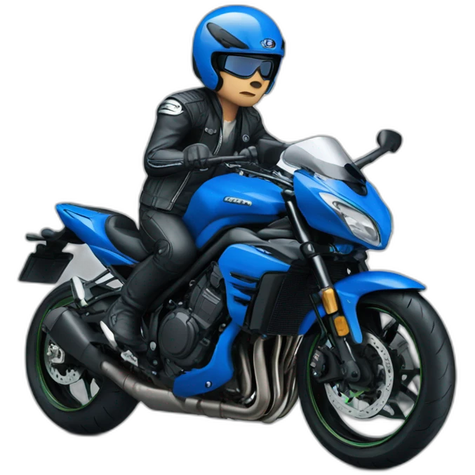 Blue Kawasaki biker emoji