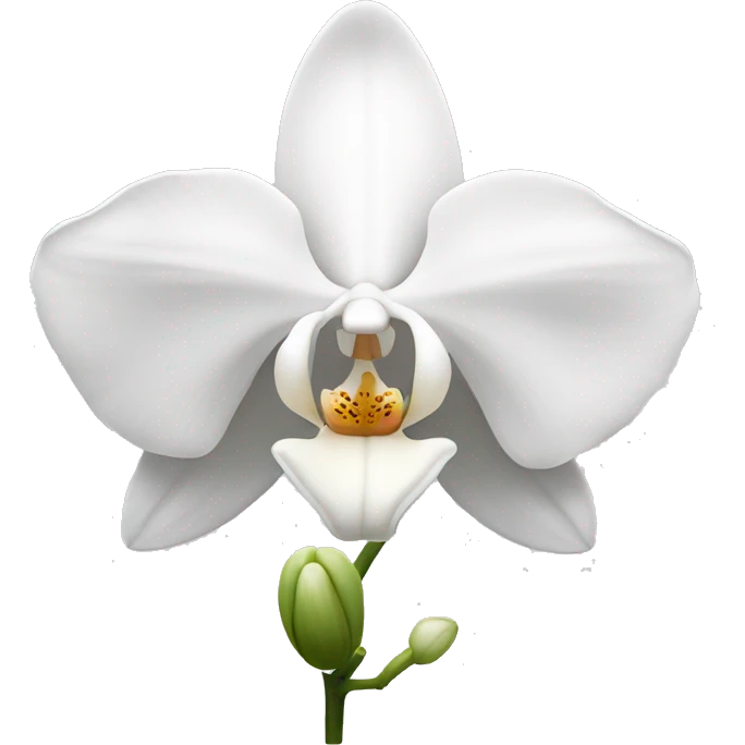 Single white orchid  emoji