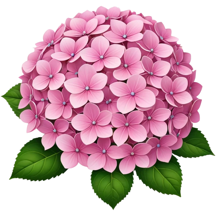 ultra realistic pink hydrangea no leafs emoji