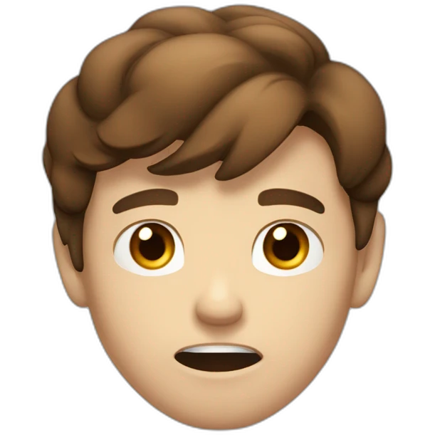 A 20 years Old angry boy with Brown hair saying “NO” with his hand emoji