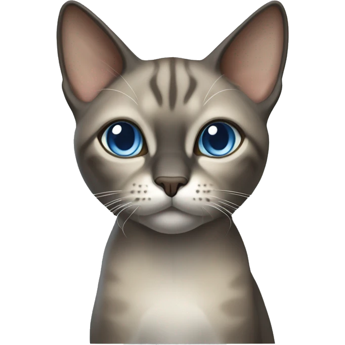 Thai breed realistic adult cat with a light cream-brown body, full dark gray face, ears, and paws. Short fur, sharp ears, striking light blue eyes  emoji