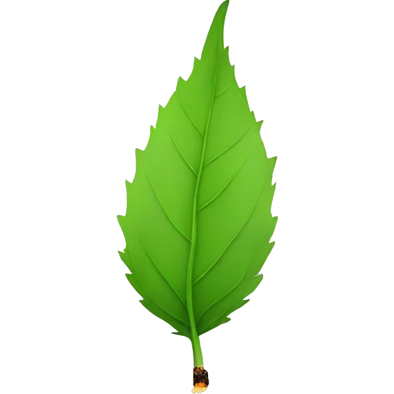 Green leaf cigarette emoji