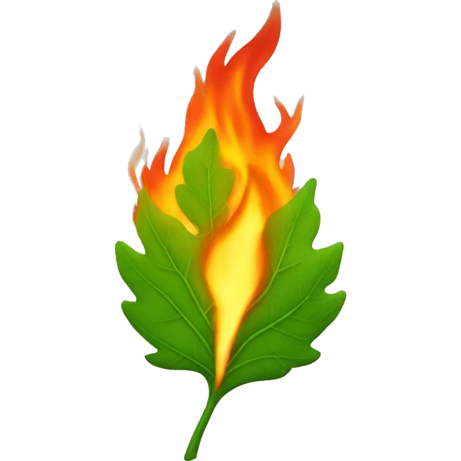 leaf on fire emoji