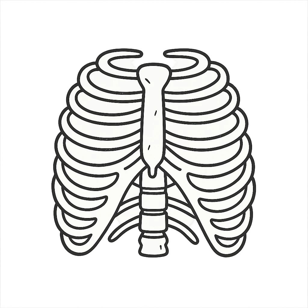 hand drawn outline icon of skeleton ribs without head emoji