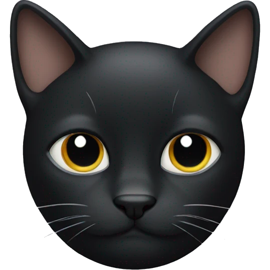 black cat with white mustache  emoji