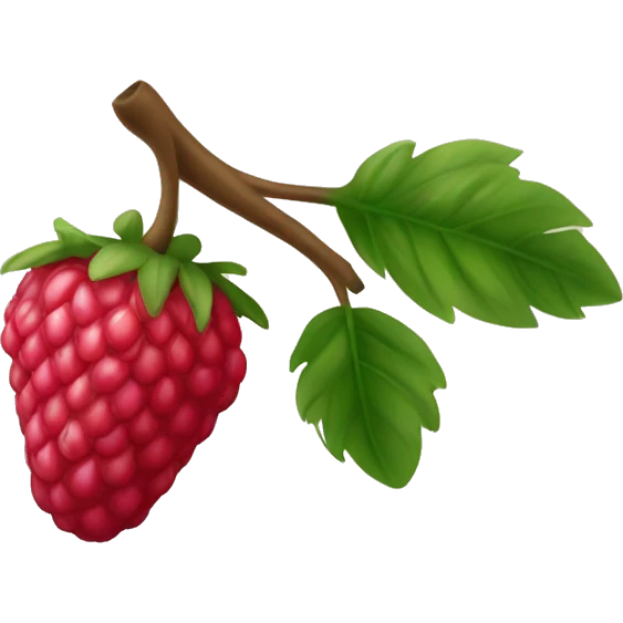 Framboesa  fruta emoji