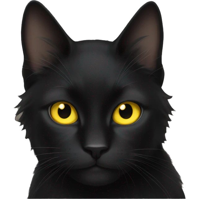 Long hair black cat with big yellow eyes  emoji