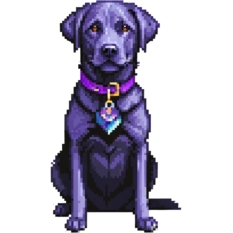 black labrador standing with a purple collar emoji
