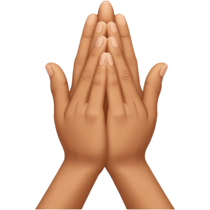 hands in a praying gesture emoji
