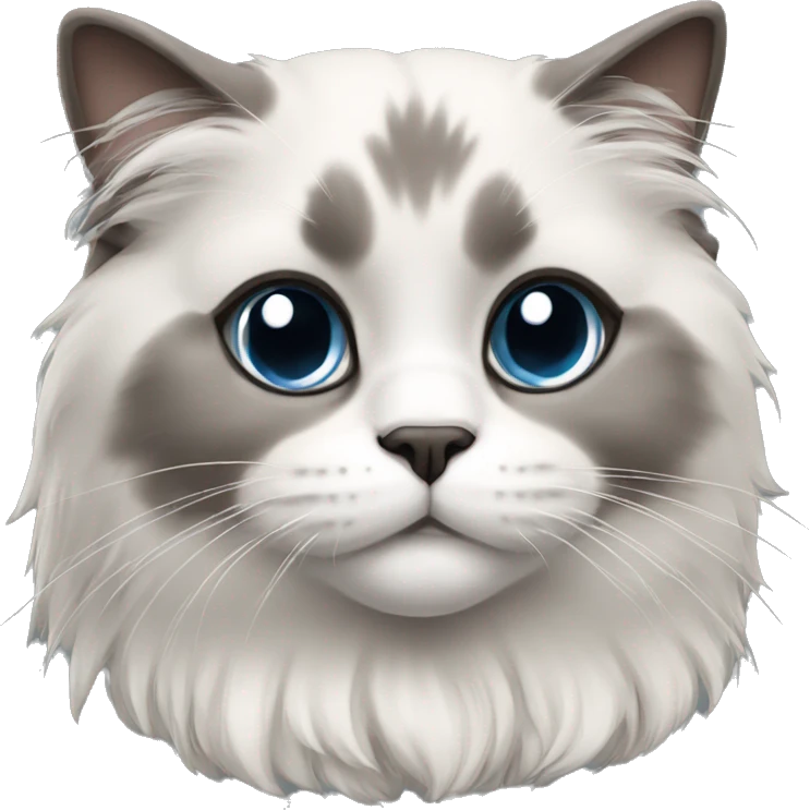 ragdoll cat with grey face emoji