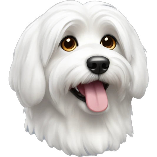 Coton de tulear dog emoji