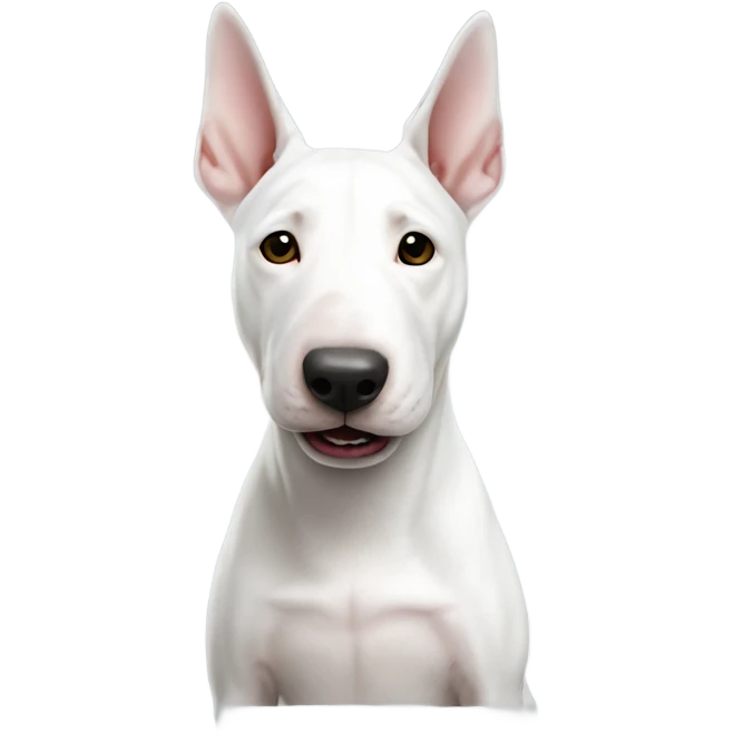Bull terrier all white full body  emoji