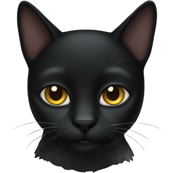 black cat emoji