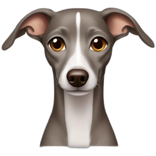 brown grey Italian greyhound emoji emoji