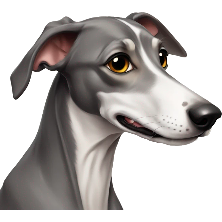 Cute Italien greyhound boy «isabella » color emoji