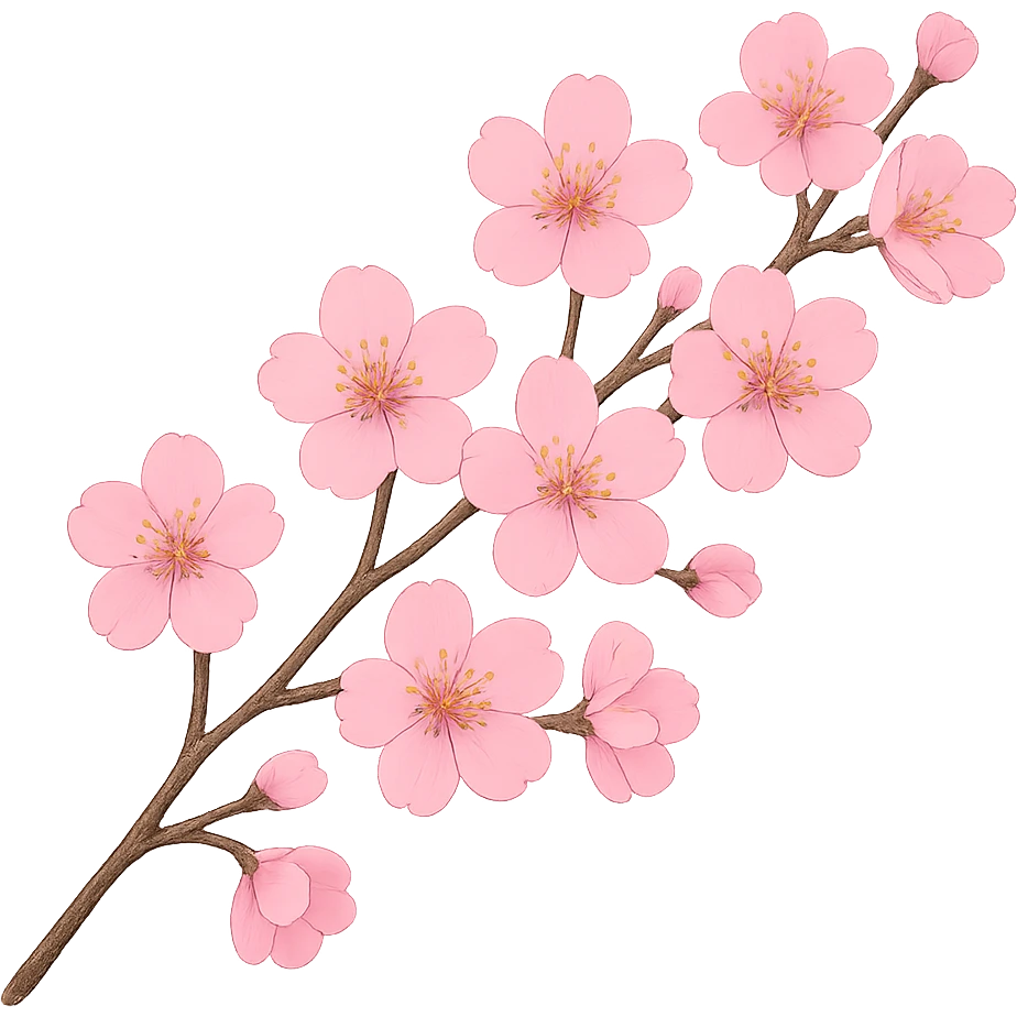 pink cherry blossom branch, no background emoji