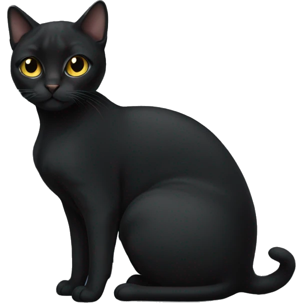 very pregnant black female cat  emoji