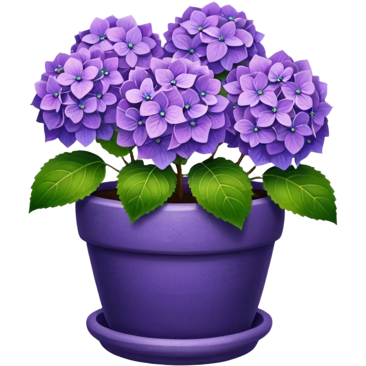 purple hydrangeas flower pot emoji