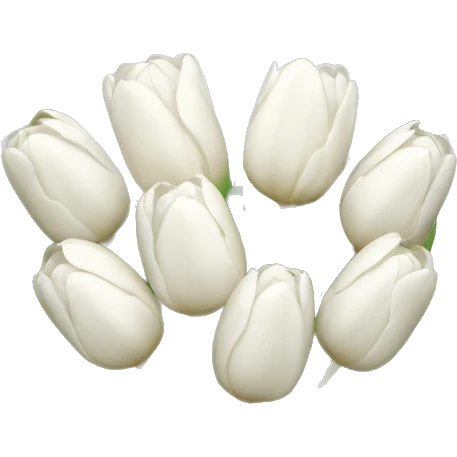 white tulip bouquet  emoji