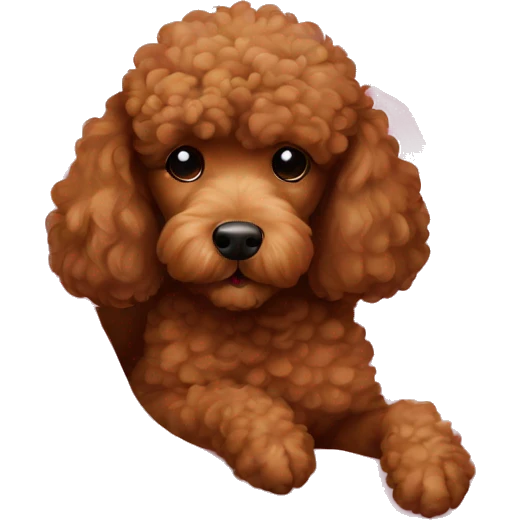 Brown Poodle sleeping cuddled with pink blanket emoji