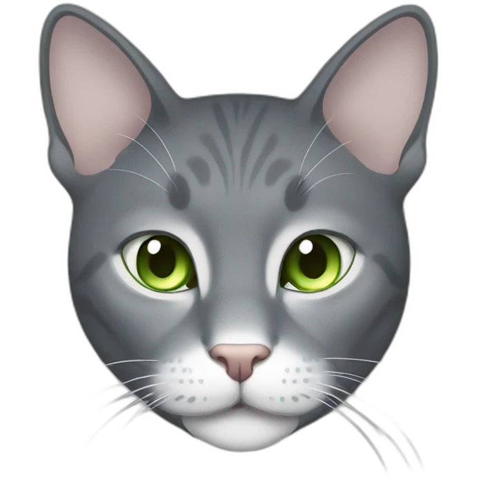 Gray cat with white mouth and white nose and light green eyes emoji