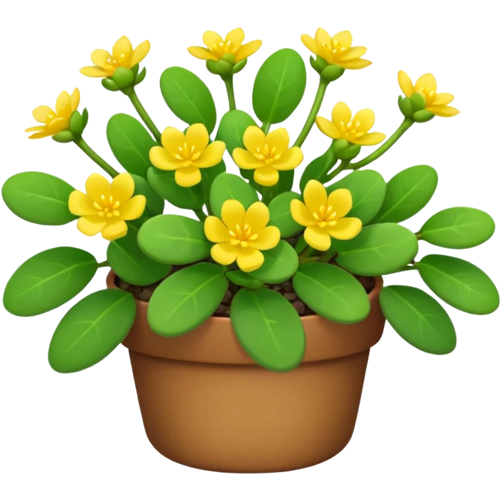 purslane bush plant emoji