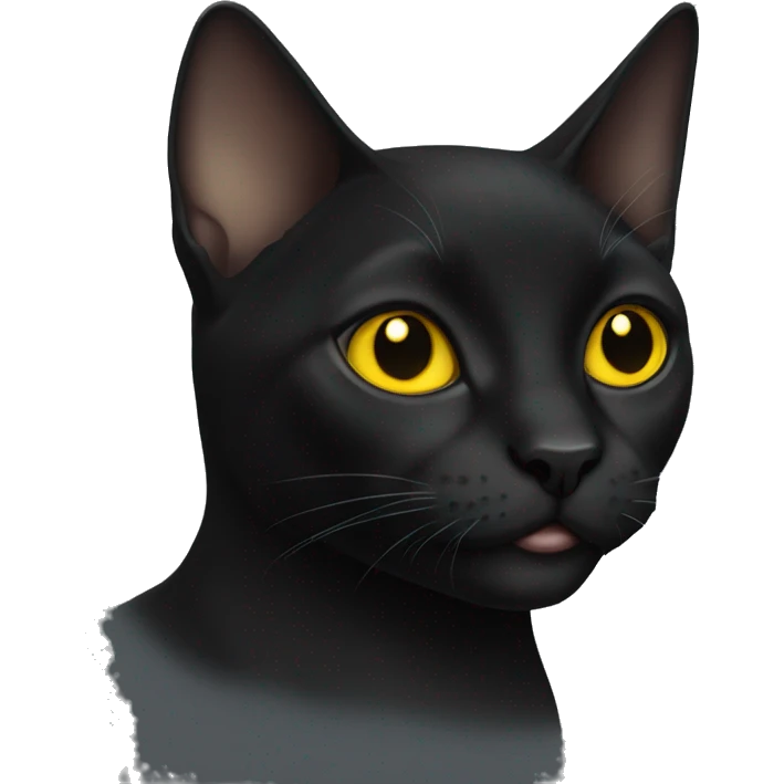 Black short Haie cat with yellow eyes emoji